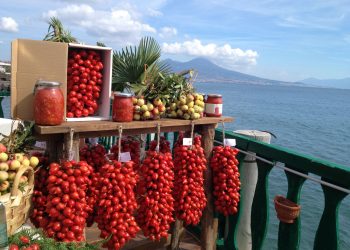 Il pomodoro e i suoi fratelli.