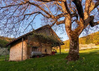 Una gran bella storia delle malghe e degli alpeggi, scritta per voi che li avete percorsi questa estate.