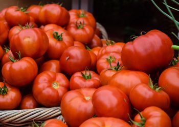 Il pomodoro? Roba da selvaggi: due secoli per essere accettato.
