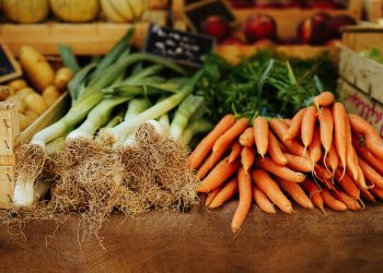 Cambiamo l’immaginario (agricolo e non solo)?