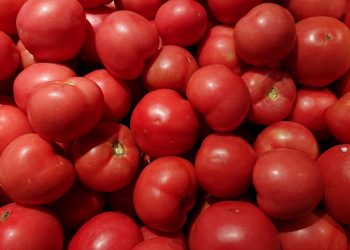 Ode al pomodoro, di Sara Senna