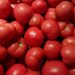 Ode al pomodoro, di Sara Senna