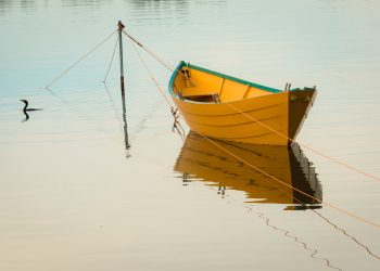 Dobbiamo cambiare perché siamo tutti nella stessa barca, sia Berlinguer sia Giorgia Meloni.