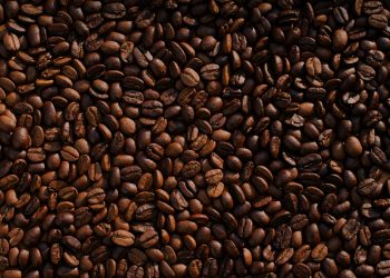 Un buon caffè siciliano e sostenibile, ce lo racconta il professore Paolo Inglese.