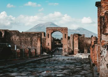 Storia della giraffa a Pompei, attraverso alcune piante.
