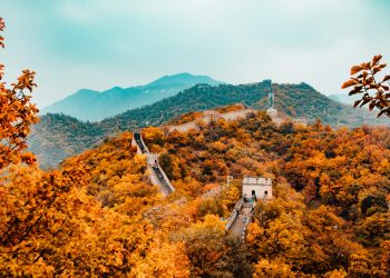 La Cina da sempre molto vicina a noi, almeno per le piante.