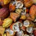 Il cacao costa troppo, ma perché.