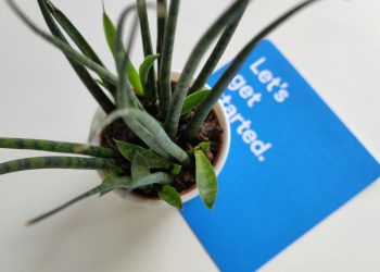 Piante vecchie e nuove? Sì, ma la biodiversità si costruisce