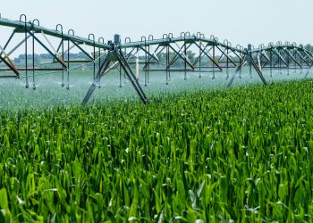 Pesticidi, il futuro è negli spruzzatori di precisione.