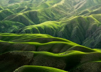 (Se e) come realisticamente prendersi cura della Terra