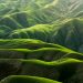 (Se e) come realisticamente prendersi cura della Terra
