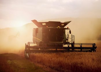 Geopolitica del Grano e soluzioni locali