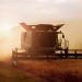 Geopolitica del Grano e soluzioni locali