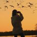Spiare gli animali? Rilassa e fa “citizen science”
