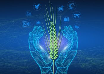Nessuno produce da solo, Alex Giordano ci racconta agrifood 5.0