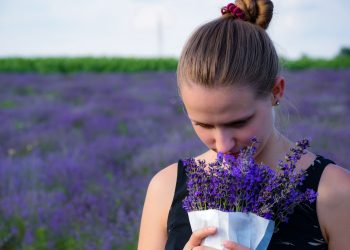 Il giardino dove è vietato annusare le piante