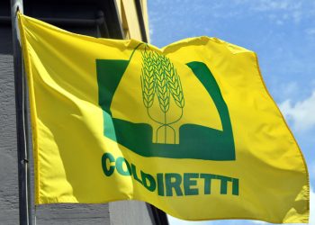  La metamorfosi della Coldiretti