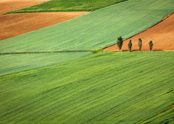 Il racconto dell’agricoltura con la tecnica del riflettore