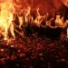 Qualcosa di chiaro sui maledetti incendi californiani