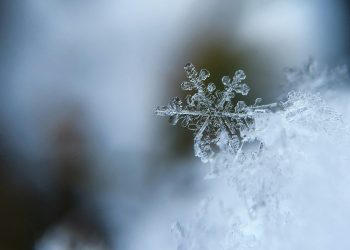 I proverbi contadini spiegati: l’inverno