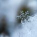 I proverbi contadini spiegati: l’inverno