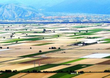 là dove l’innovazione (veramente) non arriva: i braccianti