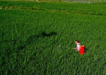 Pesticidi naturali vs sintetici: chi vince? Gli studi di Ames