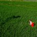 Pesticidi naturali vs sintetici: chi vince? Gli studi di Ames