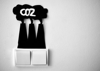 Possiamo catturare il carbonio? Possibilità e contraddizioni.