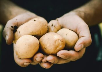 La patata, questa (ancora) sconosciuta