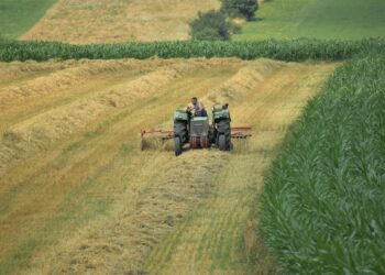 Gli schiavi che lavorano per le nostre eccellenze