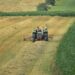 Gli schiavi che lavorano per le nostre eccellenze