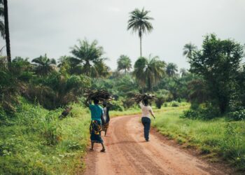 Alcune contraddizioni agricole (africane ma non solo)